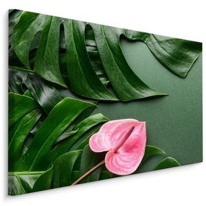 Schilderij - Roze bloem met Monstera Bladeren, Premium Print Schilderij - Roze bloem met Monstera Bladeren, Premium Print