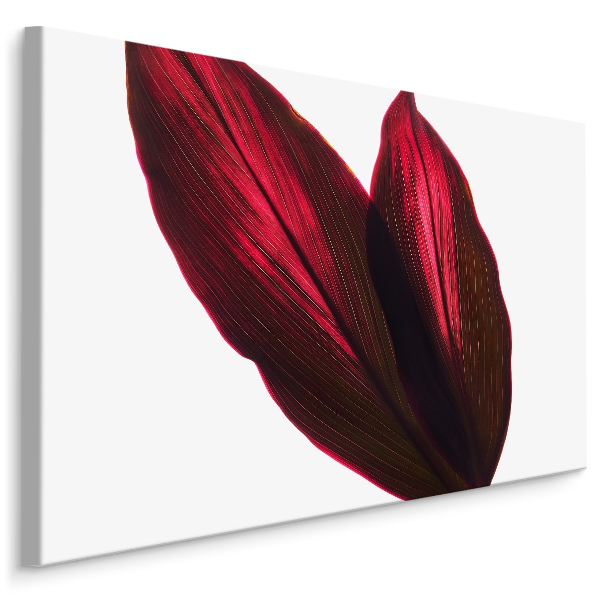 Schilderij - Rode Bloem Bladeren, 5 maten, Premium print afbeelding
