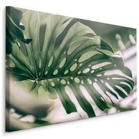 Schilderij - Close up Monstera Blad, Groen, Premium Print