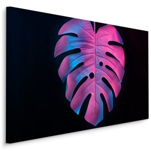 Schilderij - Kleurrijk Monstera blad, Premium Print, 5 maten