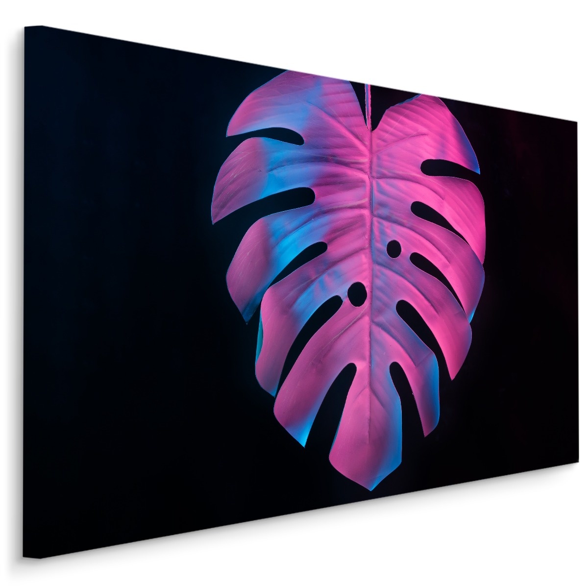 Schilderij - Kleurrijk Monstera blad, Premium Print, 5 maten afbeelding