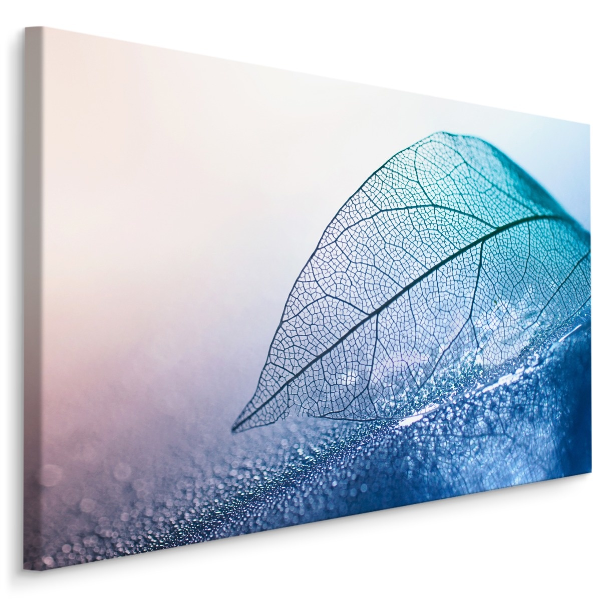 Schilderij - Blad in blauwe tinten, Premium Print, 5 maten afbeelding