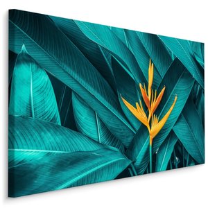 Schilderij - Oranje Bloem op een achtergrond van Tropische bladeren, 5 maten Schilderij - Oranje Bloem op een achtergrond van Tropische bladeren, 5 maten