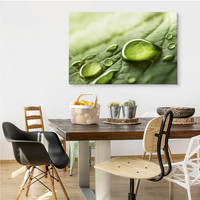 Schilderij - Waterdruppels op een blad, Groen, Premium Print