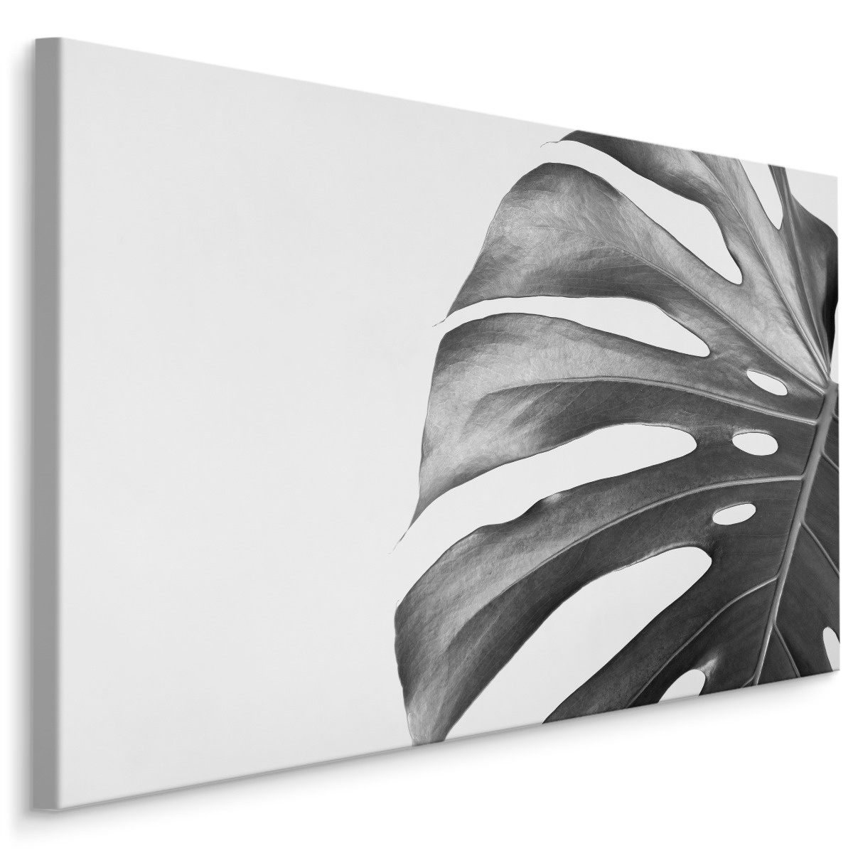 Schilderij - Palmblad zwart-wit, premium print afbeelding