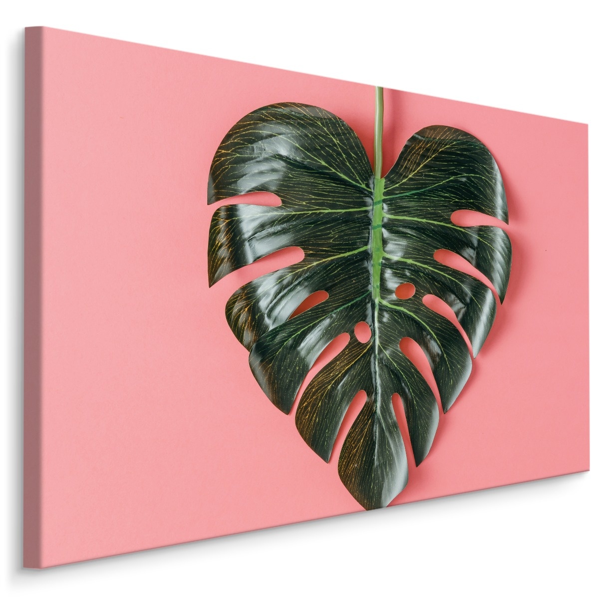 Schilderij - Hart voor planten, premium print afbeelding