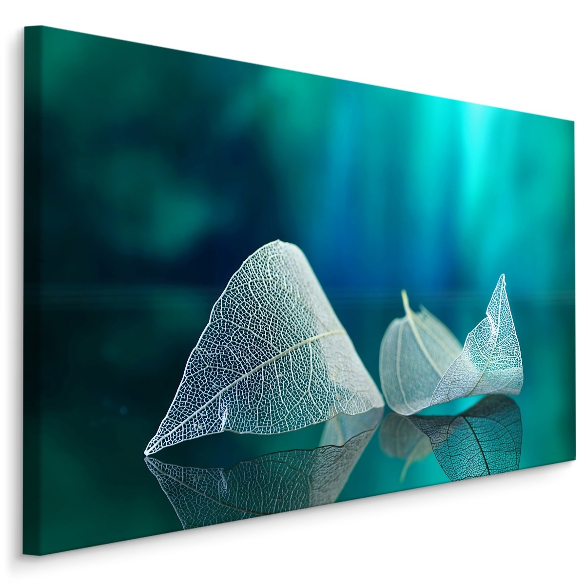 Schilderij - Skelet van een blad, premium print afbeelding