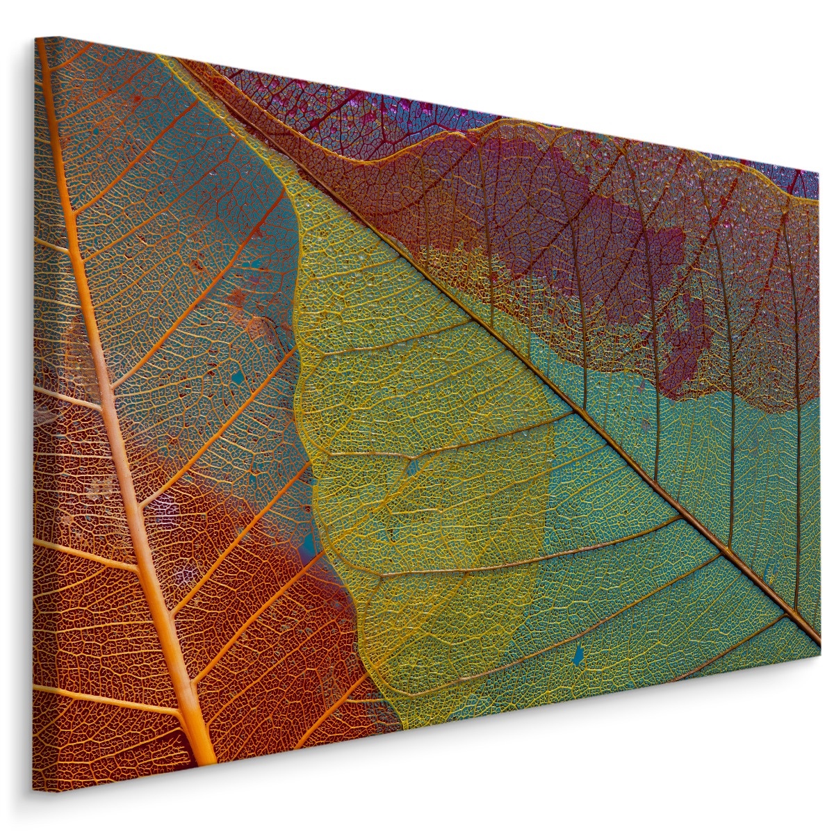 Schilderij - Kleurrijke bladeren in herfstkleuren, premium print afbeelding