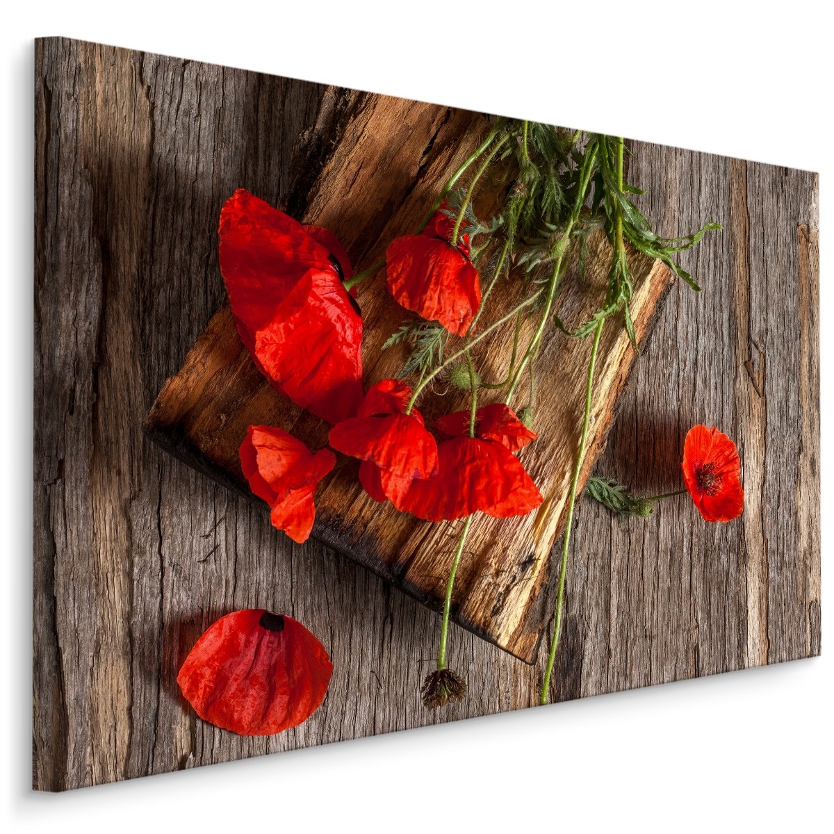 Schilderij - Wilde klaprozen op hout (print op canvas), premium print afbeelding