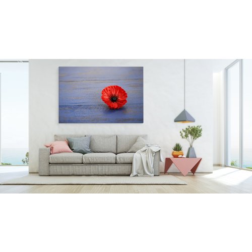 Schilderij - Klaproos op blauw hout (print op canvas), premium print