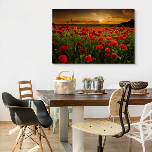 Schilderij - Rode klaprozen bij zonsondergang, premium print