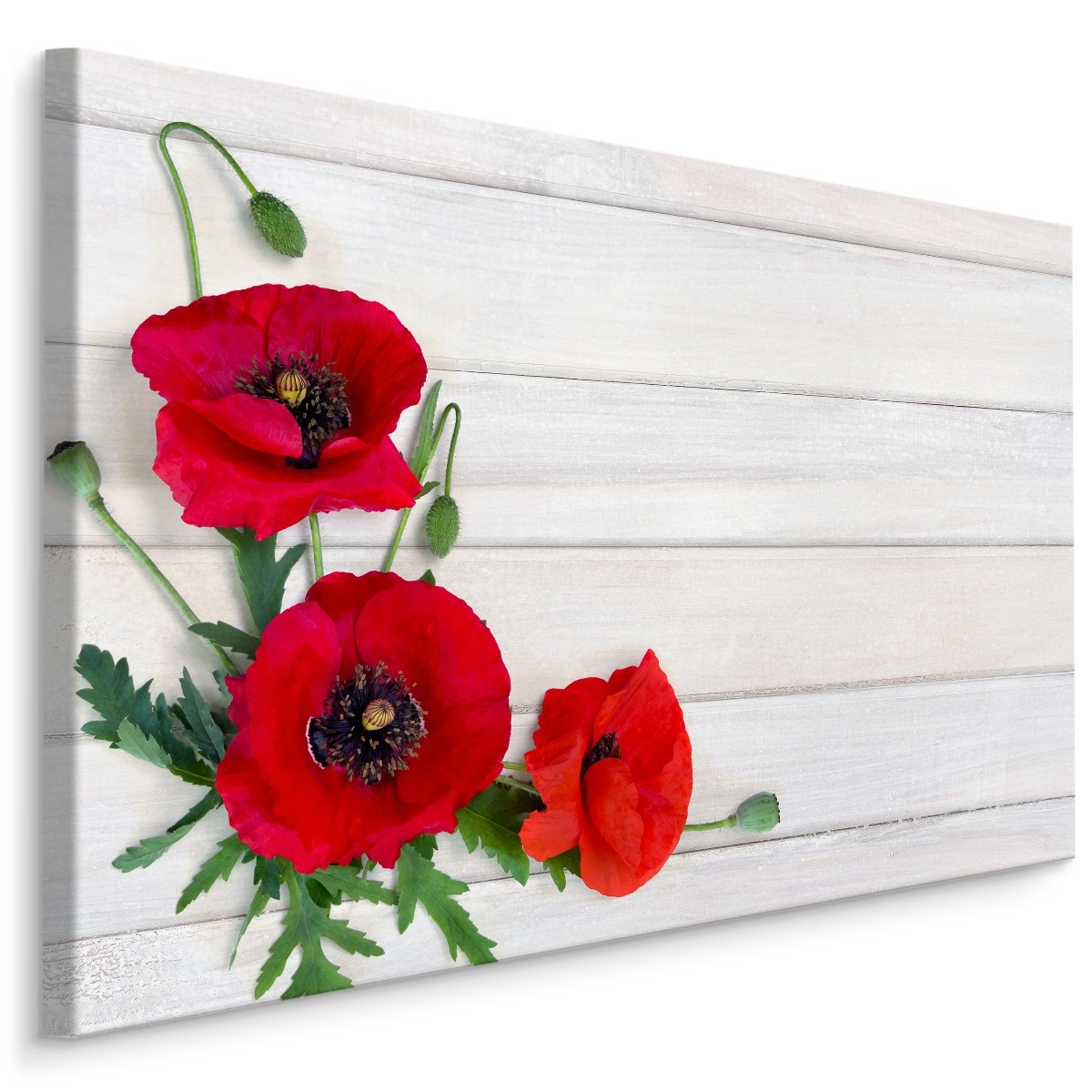 Schilderij - Rode klaprozen op wit hout (print op canvas), premium print afbeelding