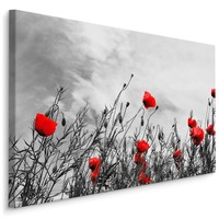 Schilderij - Rode klaprozen, zwart-wit veld, premium print