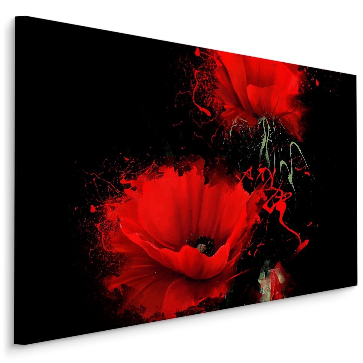 Schilderij - Rode klaprozen, zwarte achtergrond, premium print afbeelding