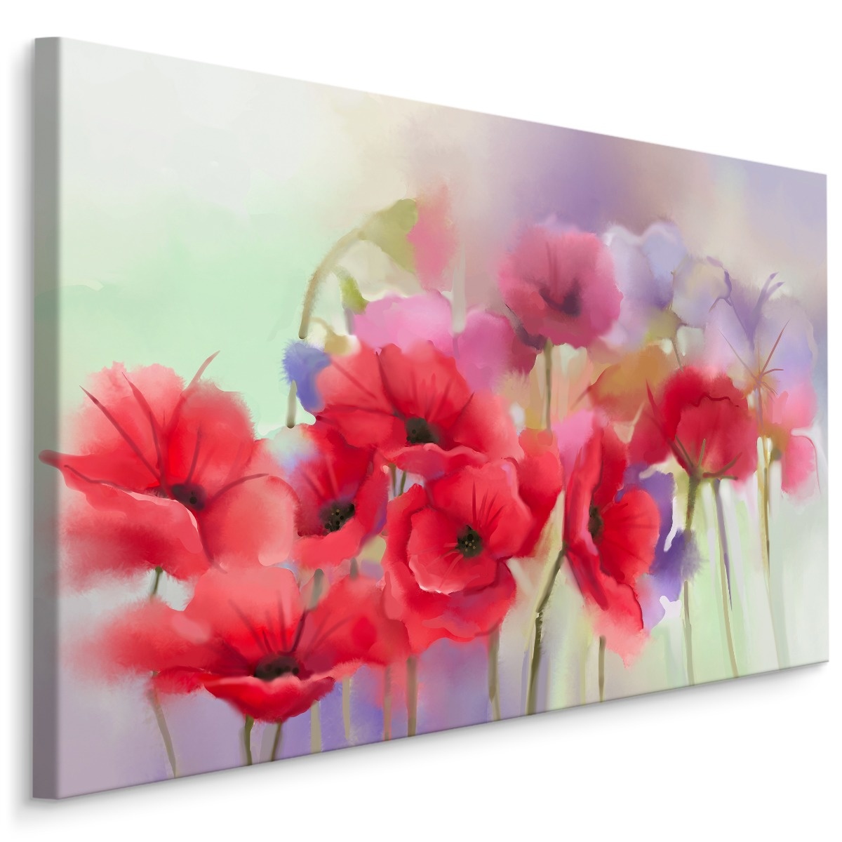 Schilderij - Kleurrijke klaprozen in waterverf (print op canvas), premium print afbeelding