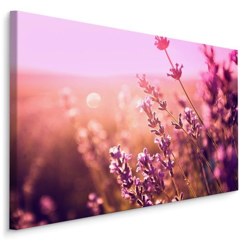 Schilderij - Betoverend lavendel, premium print