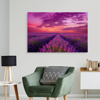 Schilderij - Bloeiende lavendelveld, premium print