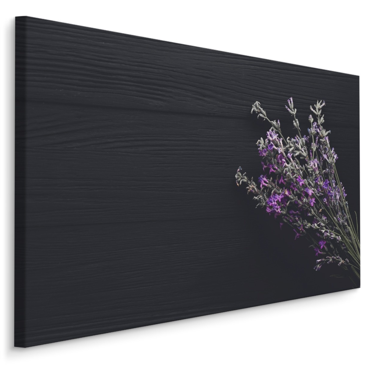 Schilderij - Lavendel op een zwarte Achtergrond, Premium kwaliteit afbeelding