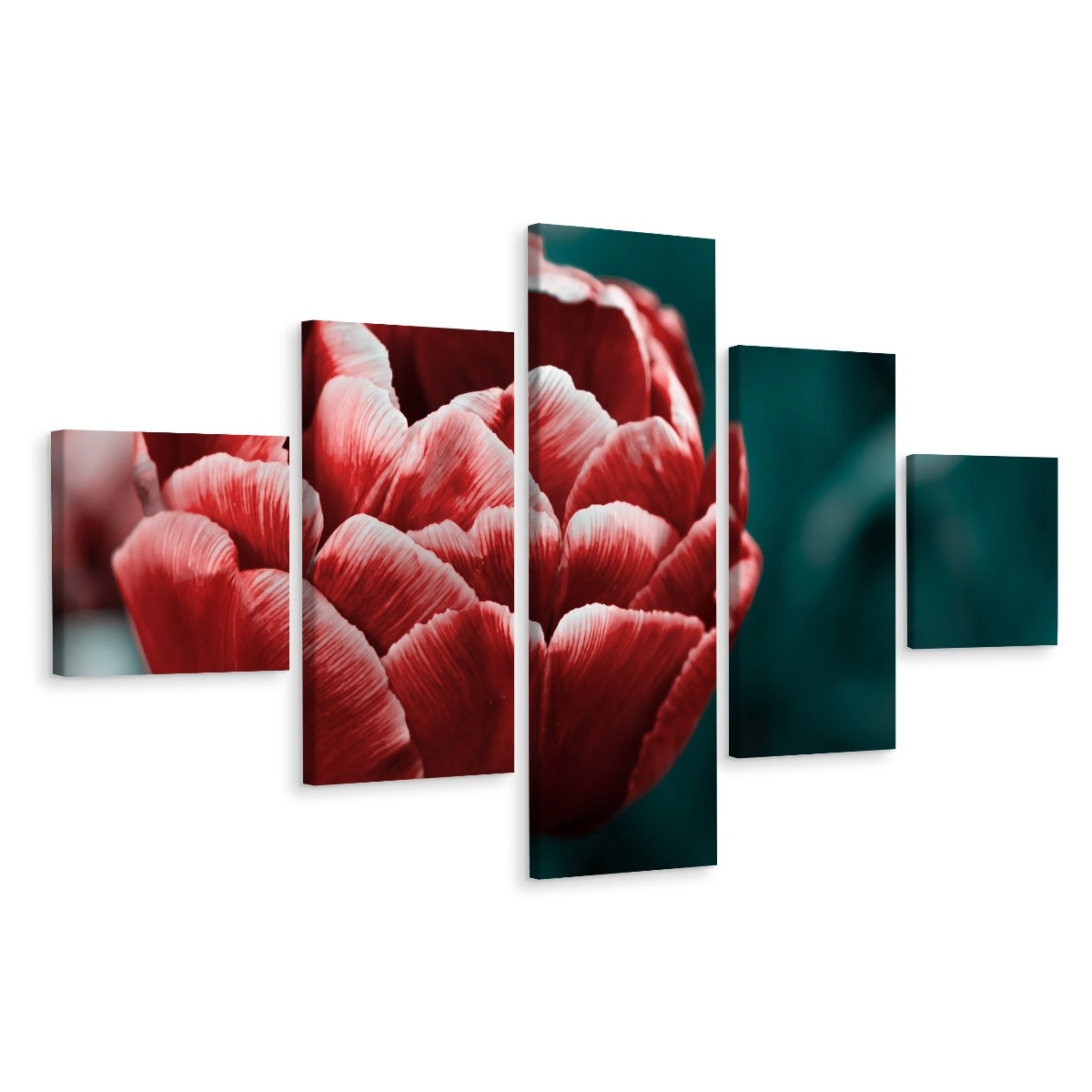 Schilderij - Tulp in bloei, 5luik, premium print afbeelding