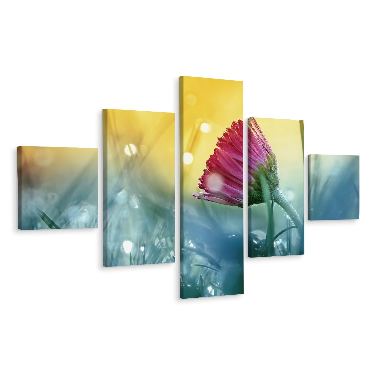 Schilderij - Bloem in ochtenddauw, 5luik, premium print afbeelding
