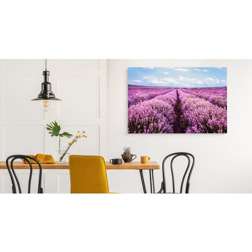 Schilderij - Bloeiend Lavendel Veld, Paars/blauw, Premium Print