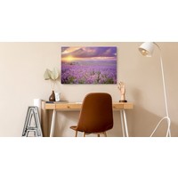 Schilderij - Prachtig veld met Lavendel, Paars, Premium Print