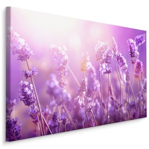 Schilderij - Lavendel in de Zon, Paars, Premium Print