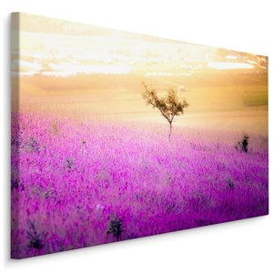 Schilderij - Eenzame Boom in een Lavendel Veld, Premium Print