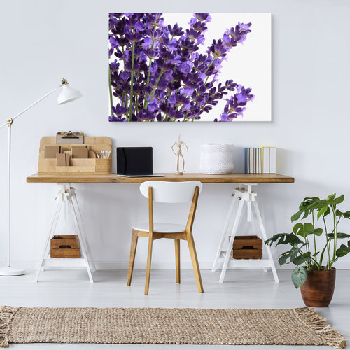 Schilderij - Close up van Lavendel, Paars, Premium Print