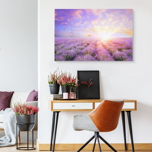 Schilderij - Lavendel tot aan de Horizon, paars, Premium Print