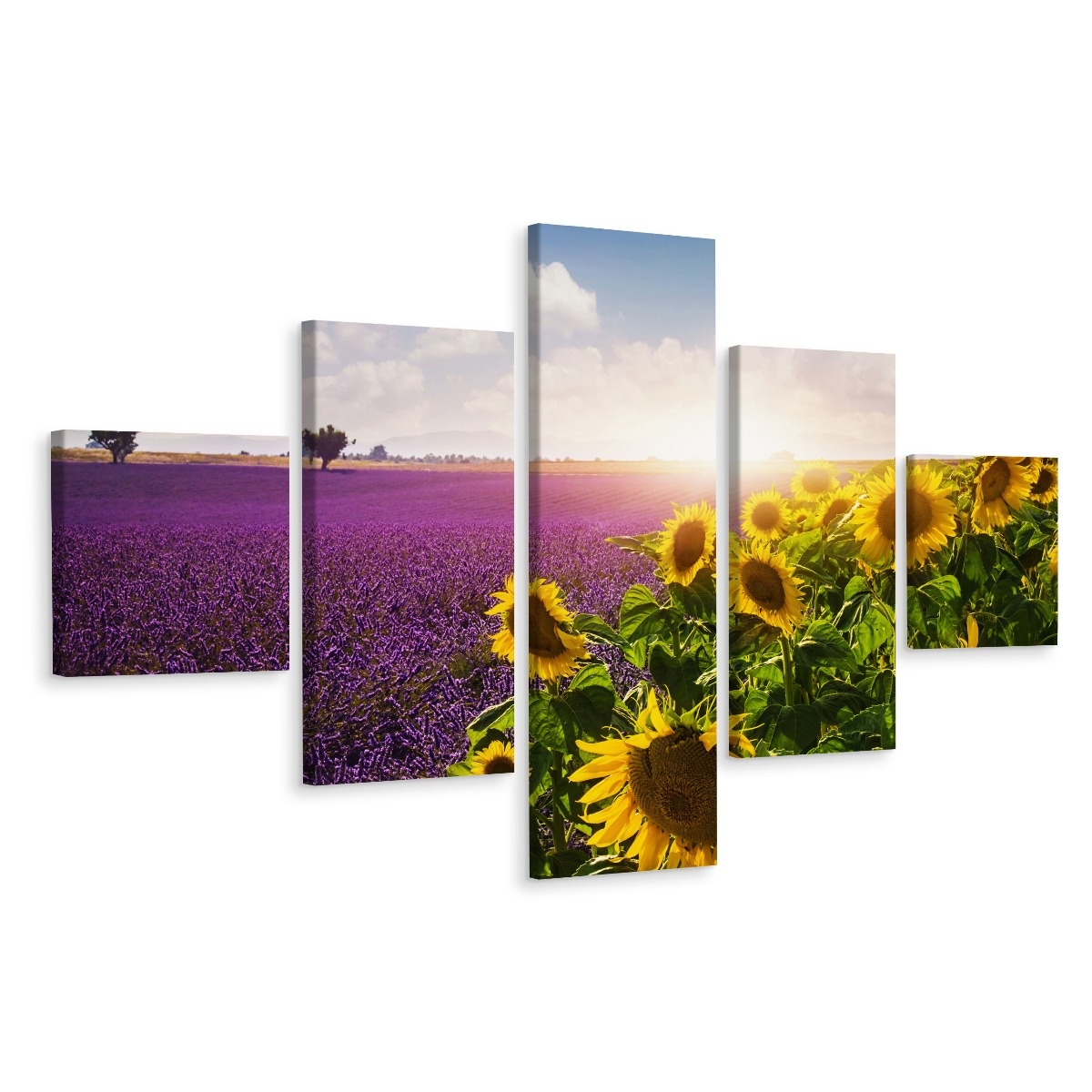 Schilderij - Lavendel en zonnebloem, 5luik, premium print afbeelding