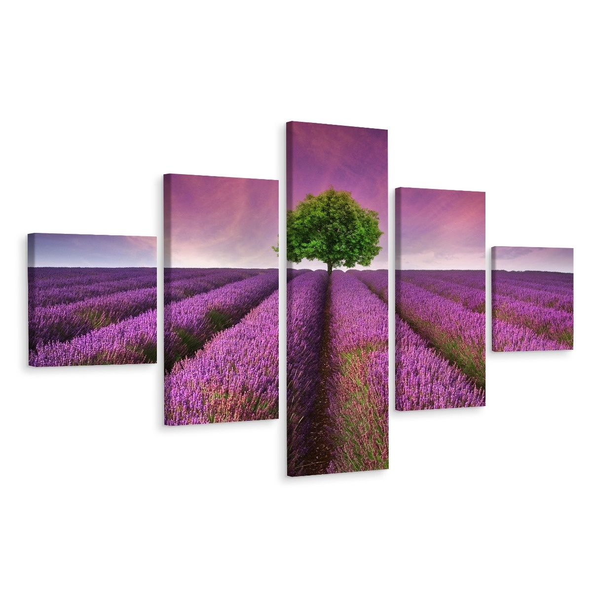 Schilderij - Boom in een lavendelveld, 5luik, premium print afbeelding