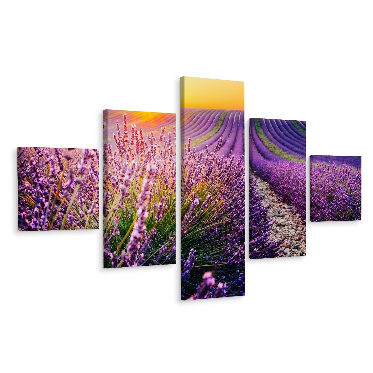 Schilderij - Lavendelveld, 5luik, premium print afbeelding