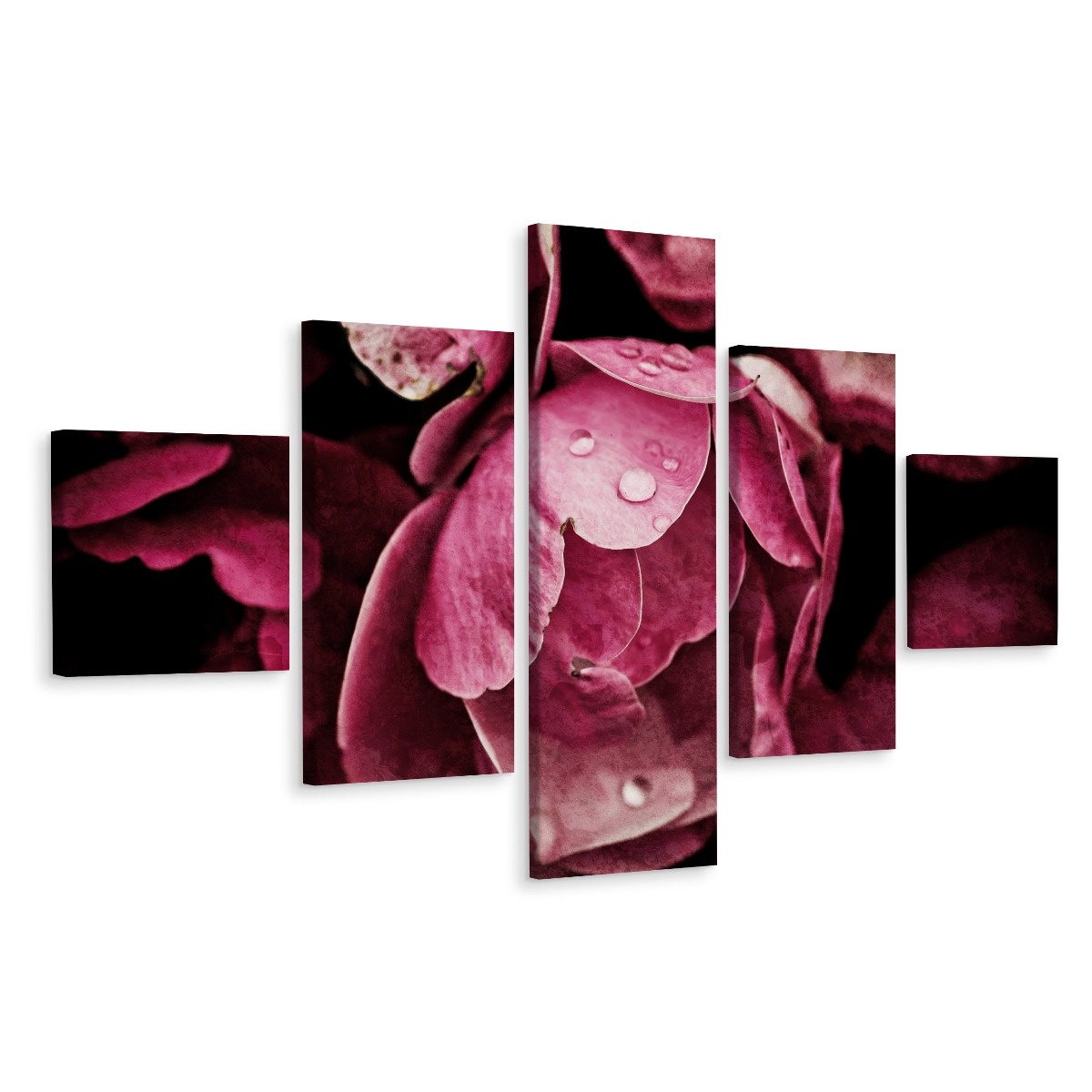 Schilderij - Pioenroos close-up, 5luik, premium print afbeelding