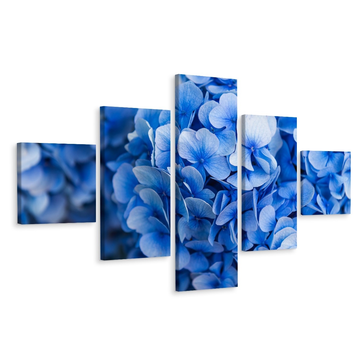Schilderij - Paarse Hortensia, 5luik, premium print afbeelding