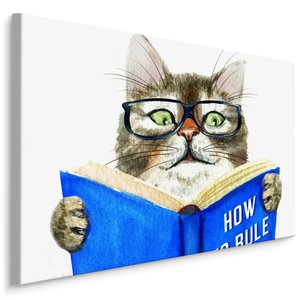 Schilderij - Kat leest een Boek, Premium Print op Canvas