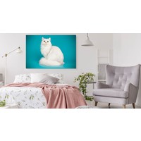 Schilderij - Witte Kat met Blauwe achtergrond, Premium print