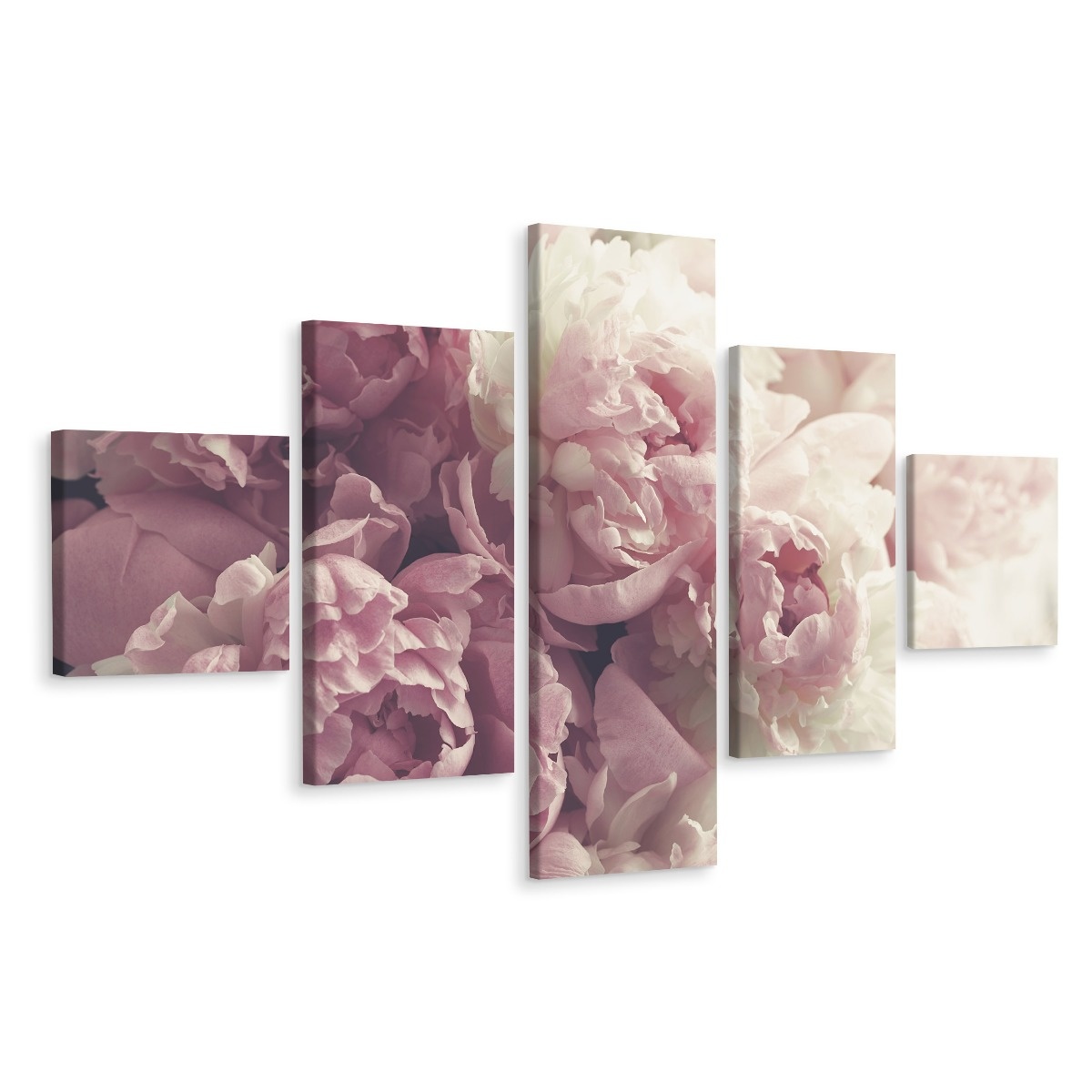 Schilderij - Roze pioenrozen, 5luik, premium print afbeelding