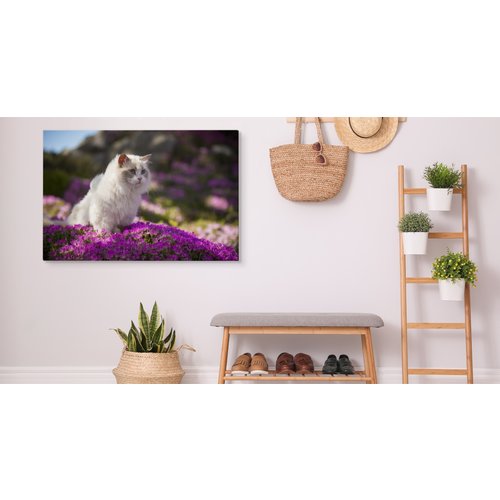 Schilderij - Ragdoll Kat tussen de Bloemen, Premium print