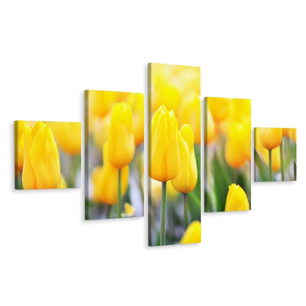 Schilderij - Gele tulpen veld, 5luik, premium print afbeelding