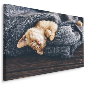 Schilderij - Kitten in diepe Slaap, Premium Print, 5 maten