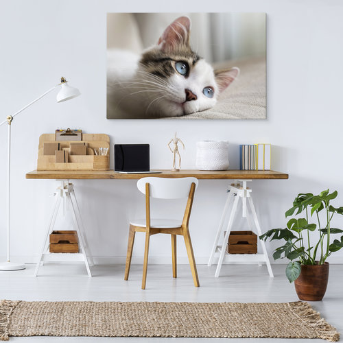 Schilderij - Dromerige Kitten, Premium Print, 5 maten