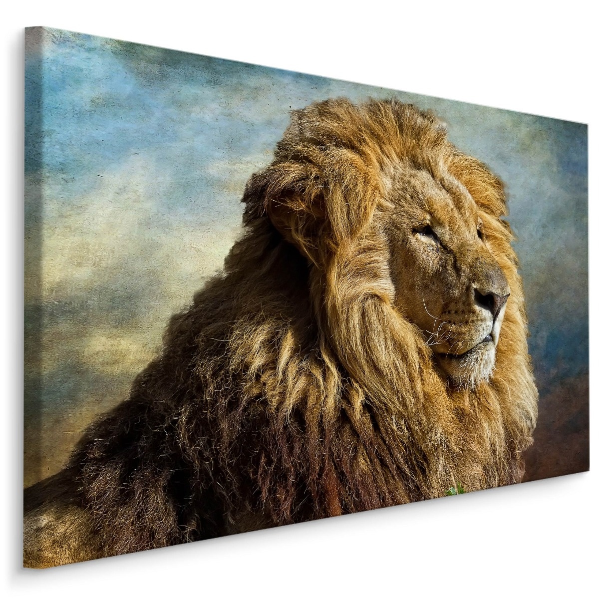 Schilderij - Majestueuze Leeuw, Vintage print, Premium Kwaliteit afbeelding