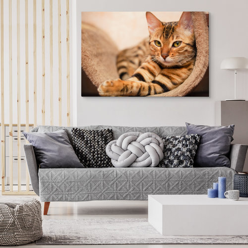 Schilderij - Bengaalse Kat, Premium Print, 5 maten