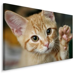 Schilderij - Schattige Zwaaiende Kitten, Premium print