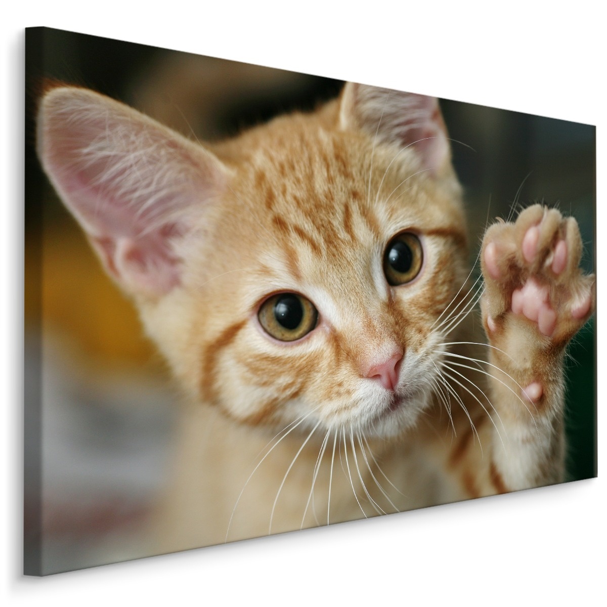 Schilderij - Schattige Zwaaiende Kitten, Premium print afbeelding