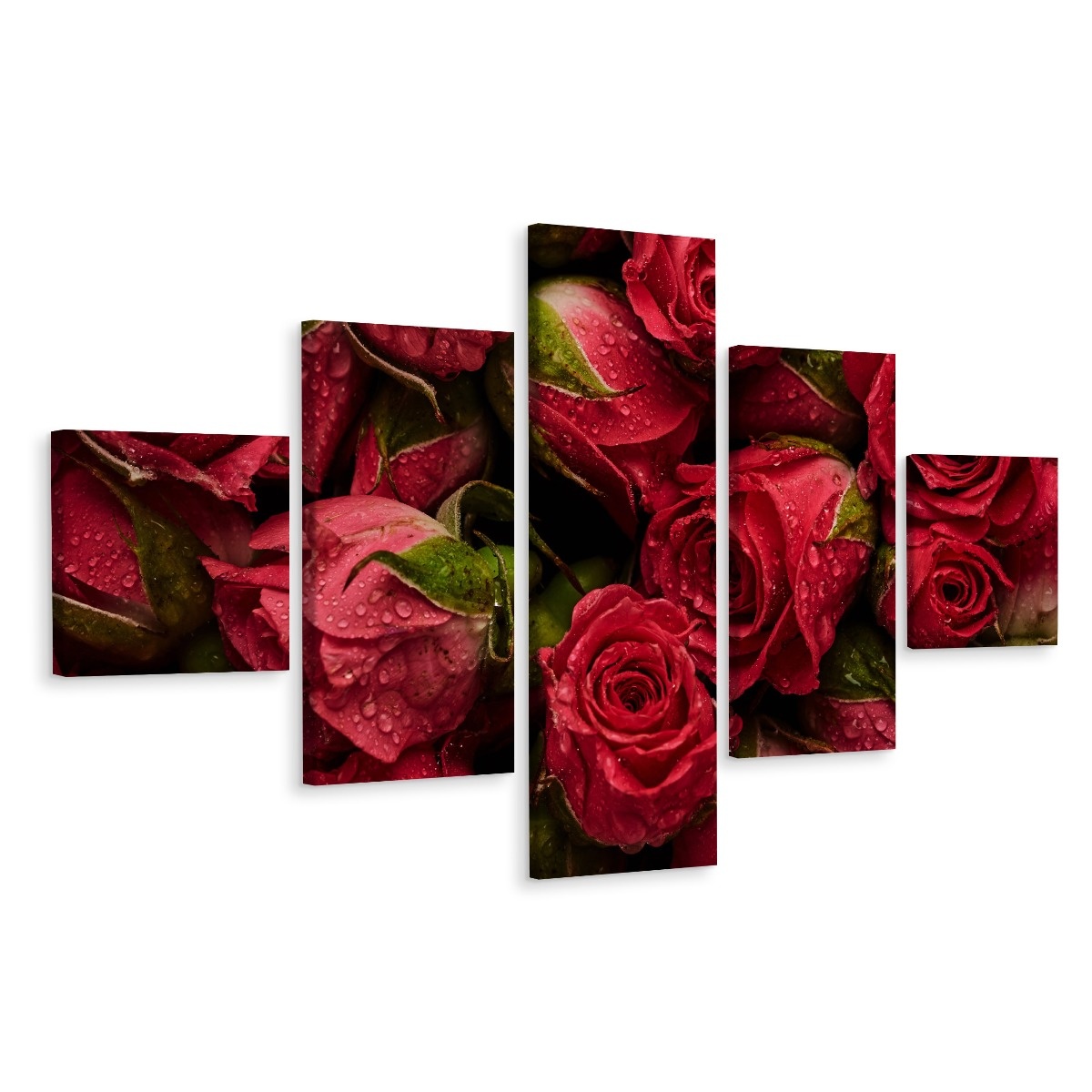 Schilderij - Rozen met waterdruppels, 5luik, premium print afbeelding