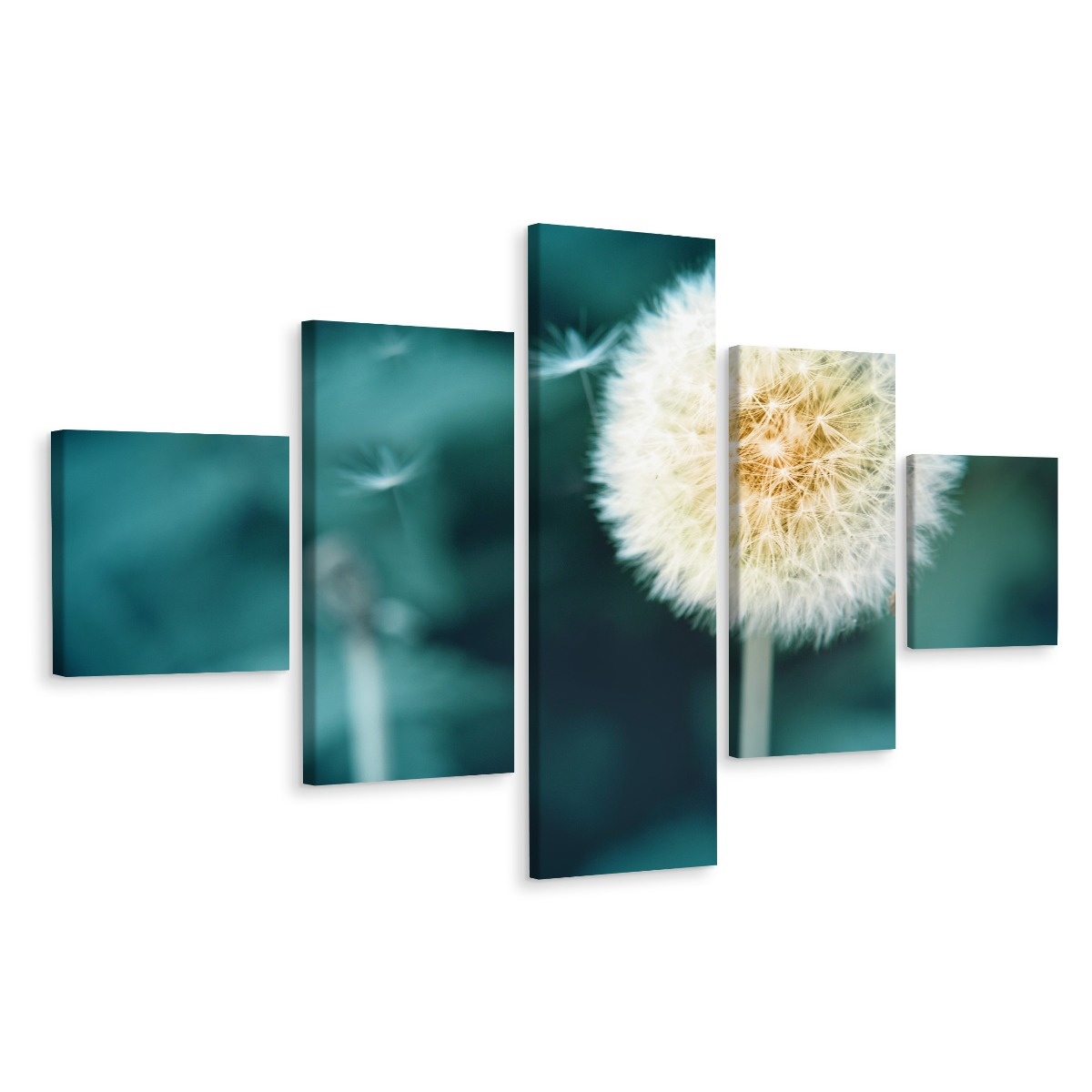Schilderij - Paardenbloem, 5luik, premium print afbeelding