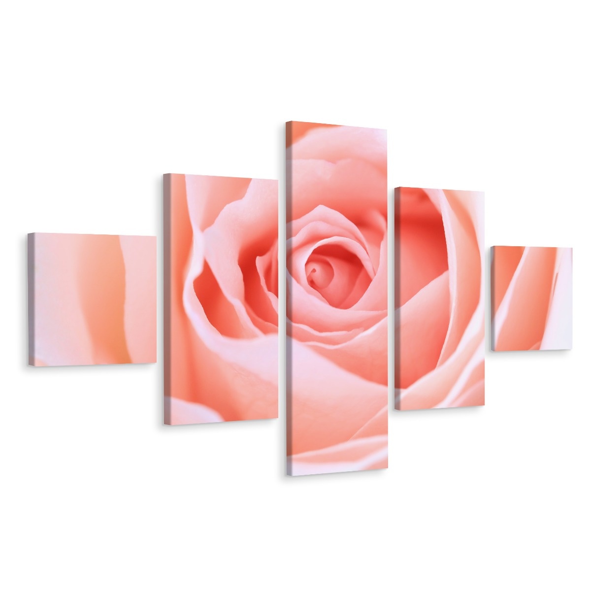 Schilderij - Pastelroze roos, 5luik, premium print afbeelding