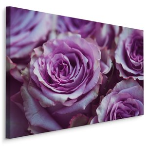 Schilderij - Paarse Rozen, Premium Print, 5 maten Schilderij - Paarse Rozen, Premium Print, 5 maten